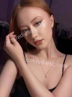 Мишель — Сим